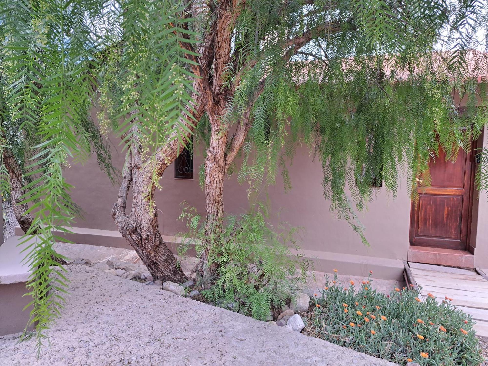 Casa En Tilcara Con Hermosa Vista Al Pucara 외부 사진